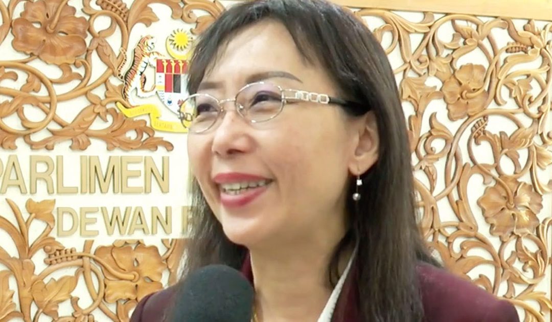 How would Teresa Kok contribute to nation building?