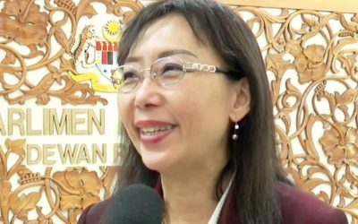 How would Teresa Kok contribute to nation building?